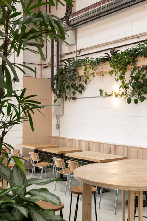 » Wiper e True Taproom & Brewery by Studio B Green Cafe Aesthetic, Plants By Window, Pizza Shop Interior, Table Divider, Ice Cream Shop Design, Tropical Cafe, Cafe Plants, Bohemian Cafe, Uncle Roger