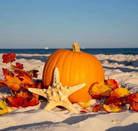 Beach Thanksgiving, Fall Facebook Cover, Thanksgiving Beach, Happy Thanksgiving Pictures, Facebook Background, Happy Thanksgiving Images, Fall Beach, Thanksgiving Pictures, Thanksgiving Images