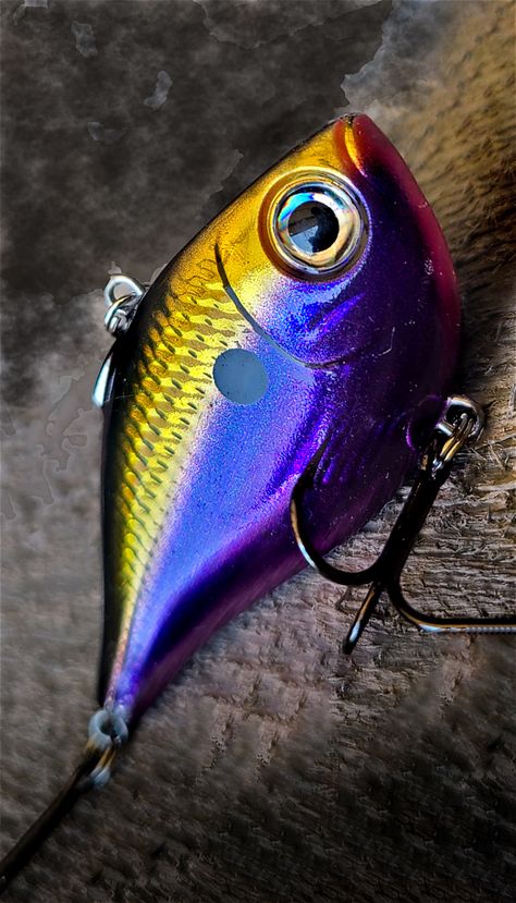 Rapala Fishing Lures, Wobbler Design, Lure Painting, Custom Fishing Lure, Homemade Fishing Lures, Custom Lures, Fish Bait, Digital Banners, Hunting Art