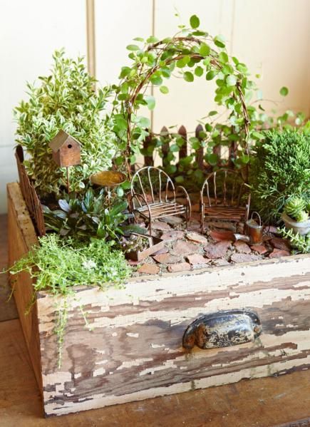 Recycle flea-market finds, wooden boxes, garden accessories, kitchen bowls and more into fun container gardens. Fairy Garden, Plants