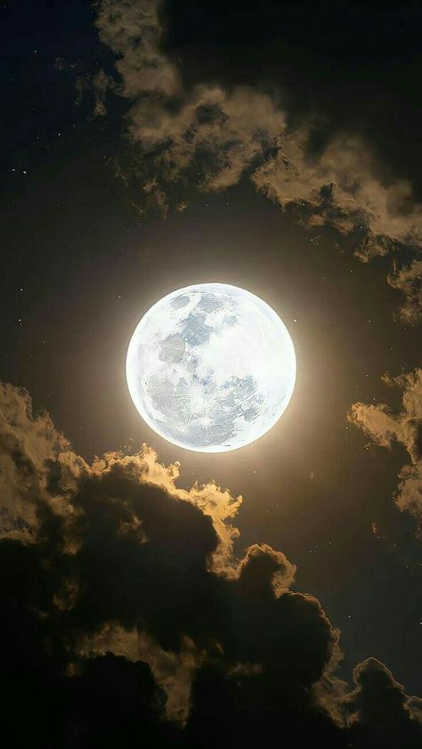 Moonlight Wallpaper, Moonlight Aesthetic, Moon Core, Beautiful Paintings Of Nature, Moon Wallpapers, Moon And Stars Wallpaper, Night Sky Moon, Moonlight Photography, Best Nature Wallpapers