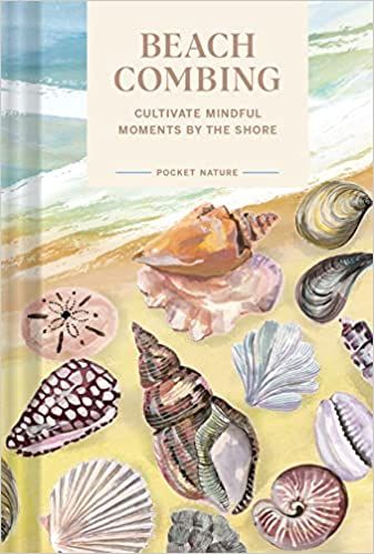 Anne Morrow Lindbergh, Calm Meditation, Mindful Moments, Sea Stars, Sand Dollars, Chronicle Books, Surprising Facts, Beach Combing, Soothing Sounds