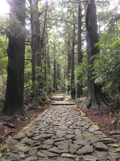 Kumano Kodo, Flagstone Walkway, Building Garden, Step Stones, Inner Witch, Landscape Sketch, Stone Path, River Park, Garden Aesthetic