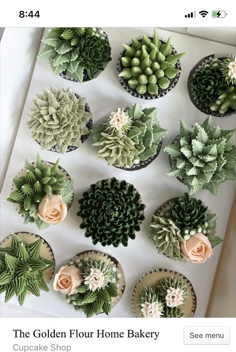 Succulent Cake Ideas Birthday, Plant Themed Cupcakes, Garden Theme Cupcakes, Plant Theme Cake, Botanical Baby Shower Decor, Succulent Desserts, Cupcake Cactus, Succulent Cake Ideas, Succulents Cupcakes