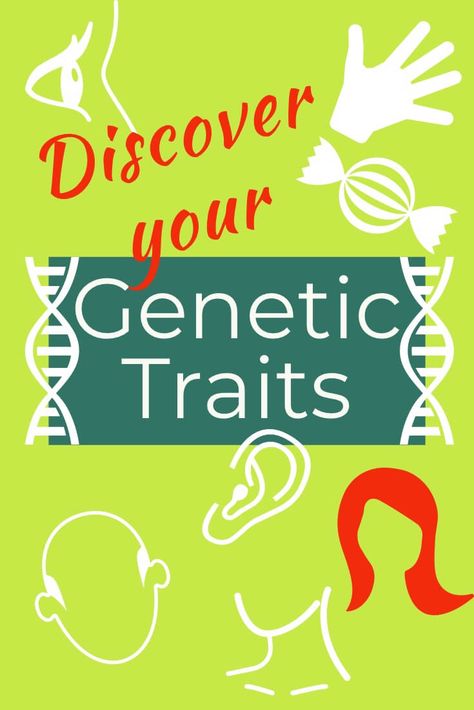 Genetic Traits at Ancestry DNA Ancestry Test, Dna Results, Dna Genealogy, Ancestry Dna, Genetic Testing, Genealogy Resources, Genealogy Research, 3dprinting Design, Dna Test