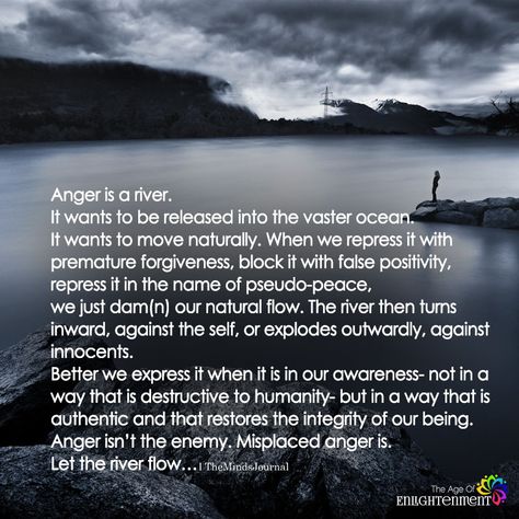 Anger is A River - https://themindsjournal.com/anger-is-a-river/ Healthy Anger, Anger Quotes, Anger Issues, Quote Pins, Why Do People, Relationship Issues, Anger Management, New Energy, Healing Journey