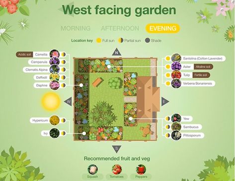 Front Garden Ideas Uk, Front Garden Ideas, East Facing Garden, Garden Ideas Uk, West Facing House, Mulch Landscaping, West Facing Garden, South Facing Garden, Front Garden Design