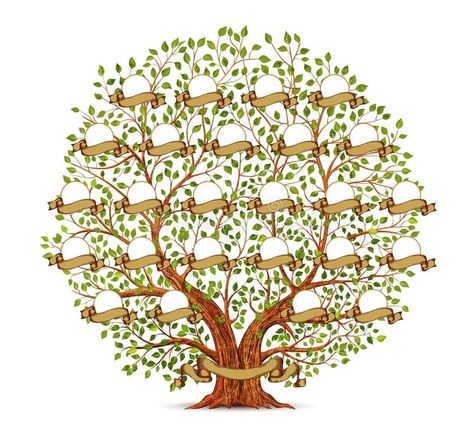 Family Tree template vintage vector illustration. Family Tree template vintage v #Sponsored , #affiliate, #Sponsored, #Tree, #illustration, #vector, #Family Family Tree Images, Illustrated Family Portrait, Family Tree Art, Tree Template, Family Vector, Family Tree Template, Tree Templates, Vintage Family, Free Family Tree