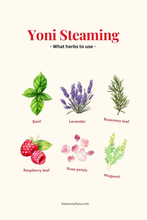 Yoni Steaming Guide: How to Make Yoni Herbs at Home Aesthetic Mindfulness, Womb Health, Self Care Activity, Womb Wellness, Herbs At Home, Herb Guide, Period Relief, African Herbs, Girl Skincare