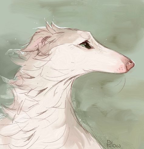 graypillow | long dog #digitalart #art #sketch #portrait #dog #borzoi #realisticpaintstudio #painting #drawing #icon | Instagram Old Dog Drawing, Borzoi Sketch, Borzoi Illustration, Dog Anatomy Drawing, Borzoi Aesthetic, Borzoi Drawing, Dog Borzoi, Borzoi Art, Dog Skull