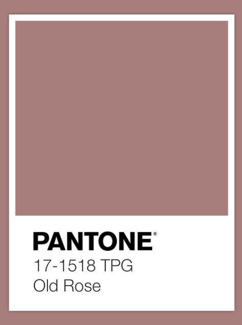 Rusty Pink Aesthetic, Antique Rose Paint Color, Dusty Rose Color Palette Wedding, Dusty Rose Wall Paint, Old Rose Color Palette, Dusty Rose Paint Color, Dusty Rose Paint, Rose Paint Color, Old Rose Color