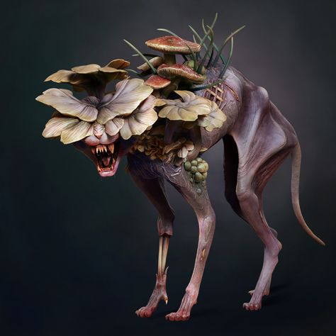 Mushroom Zombie Art, Fungal Monster, Fungi Monster, Mushroom Zombie, Mutant Creatures, Zombie Animals, Last Of Us Clicker, Zombie Concept, Mushroom Folk