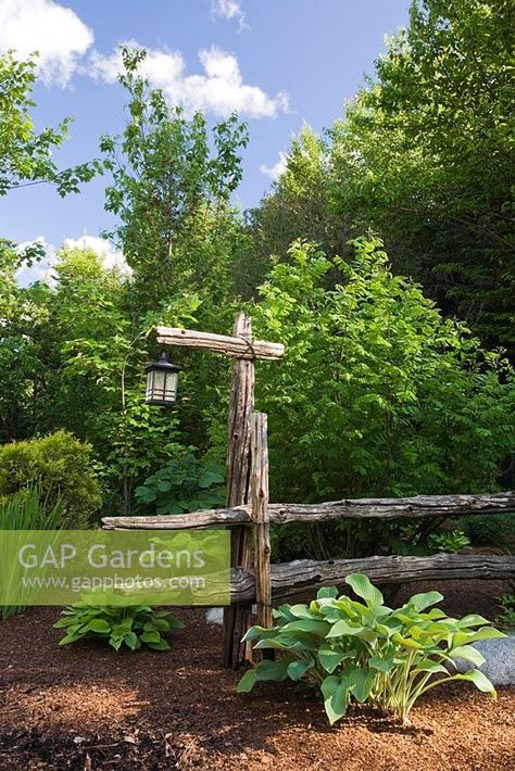 Old wooden rustic fence and lamppost in border with Hosta plants in backyard garden in early summer, Quebec, Canada Old Fence Posts Ideas Rustic, Old Timber Ideas, Old Fence Posts Repurposed, Plants In Backyard, Old Fence Wood, Rustic Garden Fence, Country Backyard, Urban Homestead, Cedar Posts