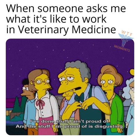 Veterinary Technician Humor, Vet School Humor, Receptionist Humor, Funny Nursing Memes, Veterinary Humor, Vet Tech Humor, Vet Nursing, Veterinary Tech, Vet Technician