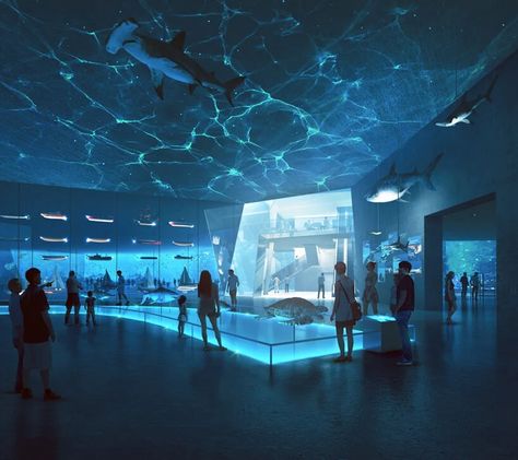 Ocean Museum Design, Maritime Museum Architecture, Boat Exhibition, Maritime Museum Design, Aquarium Exhibition, Ocean Exhibition, Ocean Museum, Water Exhibition, Museum Proposal