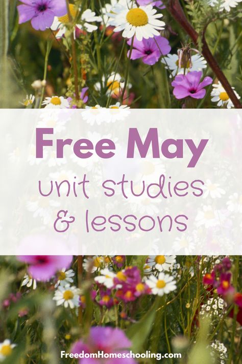 Free unit studies and lessons for May. Asian American and Pacific Islander Month, Jewish American Month, Bike Month, Healthy Vision Month, Photography Month, Get Caught Reading Month, Pet Week, Teacher Appreciation Week, Bird Day, Mother Goose Day, May Day, Star Wars Day, Cinco de Mayo, Space Day, Kentucky Derby, Mother's Day, Nurses Day, Limerick Day, Police Week, Armed Forces Day, American Red Cross Founded, Backyard Games Week, Golden Gate Bridge Opened, Memorial Day, and much more. Memorial Day Homeschool Lesson, Safety Lesson Plans, Space Day, Bird Day, Healthy Vision, Unit Studies Homeschool, Homeschool Lessons, Reading Month, Armed Forces Day