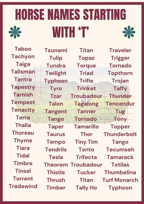 Saddle up, horse lovers! Today, we’re exploring equine names starting with the letter T.

Whether you’re a seasoned equestrian or just horse-curious, our exploration of 525 horse names starting with T is sure to inspire, amuse, and perhaps even help you find the perfect name for your four-legged friend.

These names span various themes. The Letter T, Star Stable, Horse Names, Cute Horses, Horse Lovers, Pretty Horses, Letter T, Horse Lover, Equestrian