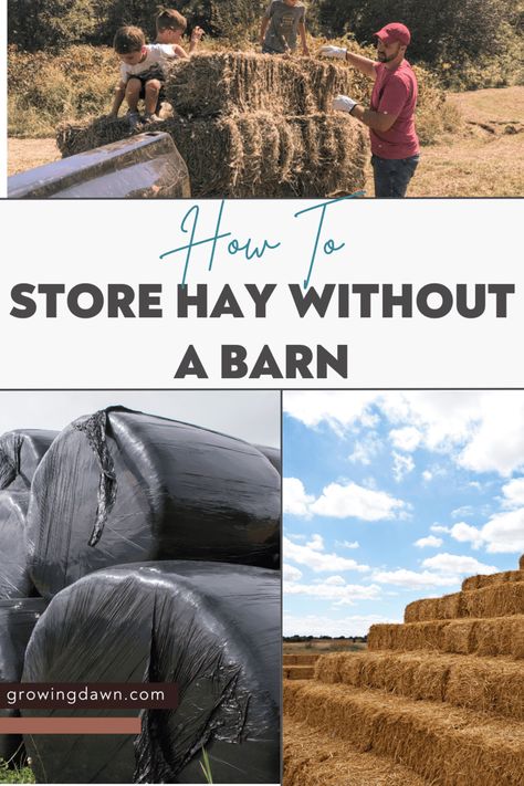 Hay Bale Storage Ideas, Hay Storage Ideas, Old Barn Restoration, Hay Hut, Hay Bar, Hay Box, Barn Restoration, Livestock Shelter, Hay Storage