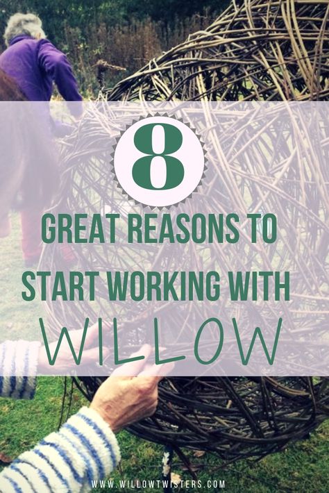 8 Great reasons to start working with willow, wicker, crafting with willow Willow Sculptures, Garden Trellis Designs, Wicker Weaving, Art With Nature, Pinterest Plant, Willow Sculpture, Willow Furniture, Bird Feeder Craft, Willow Garden