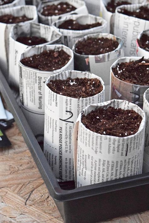 How to make your own newspaper seedling pots for starting seeds indoors, along with tips and ideas for soil, supplies, and growing plants from seed. #adventuresofmel #seedstarting #gardening Make Your Own Newspaper, Starting Garden, Garden Ideas Diy Cheap, Seedling Pots, Seed Pots, Starting Seeds, Starting Seeds Indoors, Table Color, Home Vegetable Garden