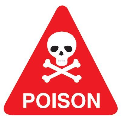 Wallhogs Poison Sign Wall Decal Size: 24" H x 24" W Poison Sign, Dream Symbols, Name Wall Decals, Warning Sign, Dream Wall, Sign Wall, Hand Painting Art, Vinyl Designs, Vinyl Wall Decals