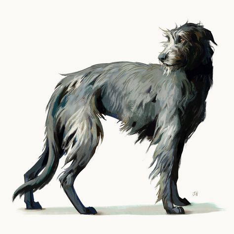 Irish Hound, Wolfhound Dog, Canine Drawing, Canine Art, Irish Wolfhound, Dog Illustration, Wolf Art, Dog Drawing, Dog Paintings