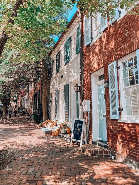 cobble stone street in Old Town Alexandria, VA Old Town Alexandria Va, Outside Fall Decor, Cobble Stone, Stone Street, Old Town Alexandria, Waterfront Restaurant, Shenandoah National Park, Ghost Tour, Alexandria Va