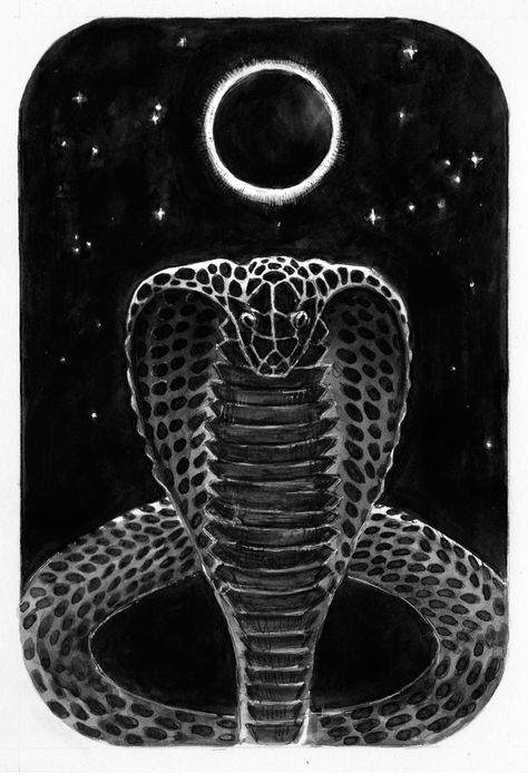 Eclipse (Snake Inktober art by Lusidus) Cosmic Snake, Cosmic Serpent, Serpent Art, Cd Wall, Inktober Art, Snake Charmer, Snake Art, Dark Feminine, Snakes