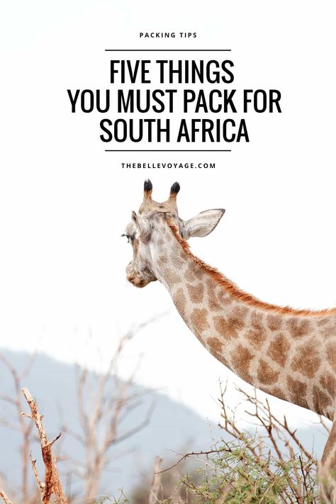 south africa packing Travel To South Africa, South Africa Itinerary, Africa Itinerary, Beach Vacation Packing, South Africa Safari, Beach Vacation Packing List, Chobe National Park, Africa Travel Guide, Namibia Africa