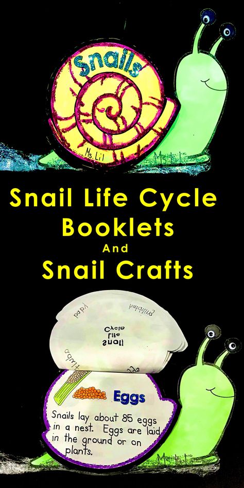 Snails Preschool, Snail Life Cycle, Life Cycles Preschool, Snail Craft, Toddler Organization, Science Writing, Research Writing, Science Projects For Kids, Cursive Handwriting