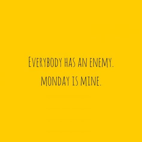 Oh Monday! #MondayMotivation @TheInsoleStore Monday Office Quotes, Monday Sucks, Beautiful Singing, Monday Vibes, Monday Monday, I Hate Mondays, Monday Memes, Hate Mondays, Monday Humor