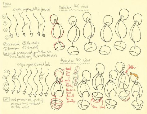 Anatomy Construction, Michael Hampton, Art Anatomy, Male Figure Drawing, Anatomy Tutorial, Draw People, Body Drawing Tutorial, Manga Drawing Tutorials, Human Figure Drawing