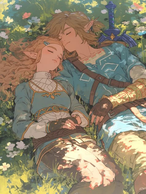 Princesa Zelda, Tears Of The Kingdom, Link Zelda, Zelda Art, Legend Of Zelda Breath, Ocarina Of Time, Zelda Breath, Twilight Princess, Breath Of The Wild