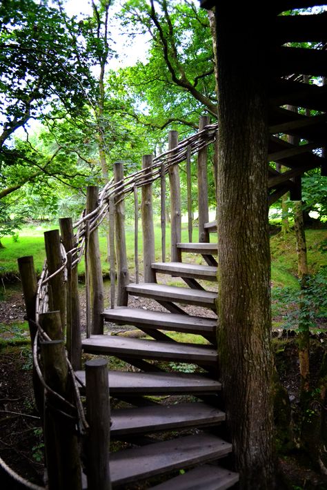 Tree House Stairs, Treehouse Stairs, Magical Treehouse, Spiral Staircase Treehouse, Spiral Staircase Plan, Spiral Staircase Outdoor, Western Shower Curtain, Steel Stair Railing, Welsh Countryside