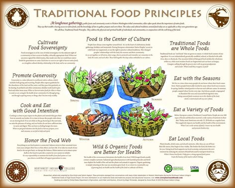 Native American Foods and Medicines | Indigenous Values Initiative Native American Herbs, Native American Knowledge, Food Sovereignty, Indigenous Education, Native American Food, American Foods, Produce Stand, First Foods, Native Foods