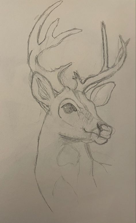 #art #sketch #deer Deer Pictures Drawing, Deer Drawing Tutorial, Mule Deer Drawing, Inspo Pics For Drawing, Watercolor Deer Painting Easy, Deer Cute Drawing, Wildlife Doodles, Art Inspo Pencil, Cute Small Sketches