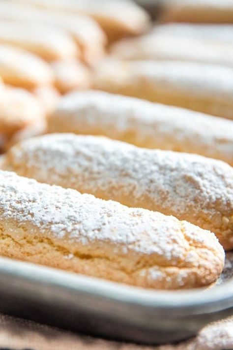 Lady Finger Recipe, Homemade Ladyfingers, Lady Fingers Recipe, Lady Finger Cookies, Lady Fingers, Italian Cookies, Serious Eats, Banana Pudding, Sponge Cake