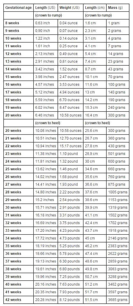 Baby Boy Weight Chart, Fetal Growth Chart, Pregnancy Weight Gain Chart, Gyn Ultrasound, Baby Weight Chart, Pregnancy Chart, Baby Chart, Pregnancy Facts, Pregnancy Weight Gain