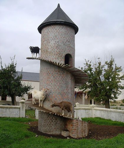 love goat towers Goat Tower, Goat House, Future Farms, A Farmer, The Goat, To Infinity And Beyond, Country Life, Farm Life, Animal Kingdom