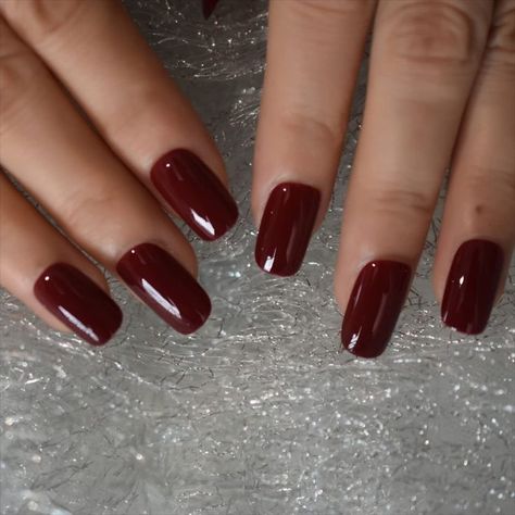 iBeautying Press on Nails - Press On Nails - Burgundy Claret Pure Color False Nails  UV Nail Medium, Nails Glossy, Nail Design Inspiration, Nail Tip, Burgundy Nails, Top Nail, False Nail, Artificial Nails, False Nails