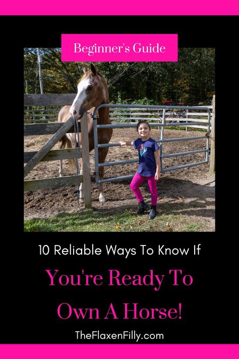 Find out if you're ready to buy a horse and how you can prepare before buying your first horse. Learn what you'll need to budget for and the cost of horse ownership per month and per year. Determine if you have enough experience to buy your first horse and where to get horse ownership tips and support for beginner horse owners. Horse Ownership For Beginners, Horse Essentials, First Horse, Horse Ownership, Horseback Riding Tips, Buy A Horse, Horse Knowledge, Horse Care Tips, Horse Ideas