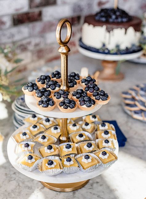 Blueberry Themed Baby Shower - Inspired by This Blue Berry Baby Shower Decor, Blueberry Themed Wedding, Blueberries For Sal Birthday, Blueberry Themed First Birthday, Blue Themed Brunch, Blueberry Bridal Shower Theme, Blue Desserts For Baby Shower Boys, Blueberry Shower Theme, Blue Baby Shower Food Ideas