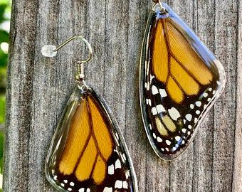 Asana Natural Arts by AsanaNaturalArts on Etsy Butterfly Preservation, Monarch Jewelry, Butterfly Wings Earrings, Wings Butterfly, Wings Earrings, Real Butterfly Wings, Blue Morpho Butterfly, Real Butterfly, Morpho Butterfly