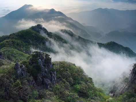 Korean Photography Nature, Korean Mountains, Korean Forest, Korea Mountain, Korean Scenery, Korean Nature, Korean Landscape, Scene Reference, Korean Photography