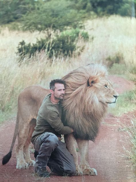 Magnificent Kevin Richardson Love and trust among human and animal Kevin Richardson, Lion Love, Friends Photo, A Lion, Wildlife Animals, Beautiful Cats, Animals Friends, Big Cats, Beautiful Creatures