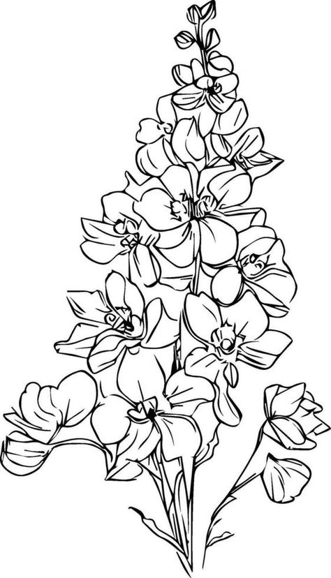 Delphinium Flower Drawing, Delphinium Flower Bouquet, Larkspur Flower Drawing, Line Drawing Botanical, White Delphinium, Delphinium Flower, Illustration Outline, Larkspur Flower, Delphinium Flowers