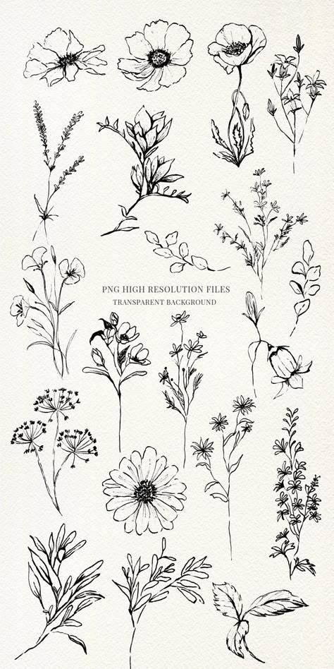 Wild Flowers Drawing, Line Clipart, Wildflower Drawing, Line Art Flowers, Botanical Line Art, Flowers Daisies, Line Art Images, Ink Doodles, Wildflower Tattoo