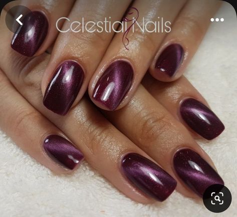 Short Square Acrylic Nails Maroon, Chrome Plum Nails, Wine Cat Eye Nails, Plum Cat Eye Nails, Purple Cats Eyes Nails, Cats Eye Nail Polish Gel, Magnetic Nail Polish Cat Eye, Square Cat Eye Nails, Cat Eye Gel Nail Designs