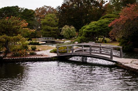 Roger Williams Park Zoo Japanese Garden Roger Williams Park, Zoo Park, Rogers Gardens, The Revenant, Landscape Pictures, Family Trip, Vow Renewal, Japanese Garden, Rhode Island