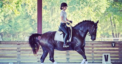 Ride with Less Strength But Better Balance, Coordination and Timing. Equestrian biomechanics expert Susanne von Dietze critiques a horse and rider. Rider Biomechanics, Dressage Exercises, Dressage Training, Riding Tips, Horse Exercises, Horse Riding Tips, Better Balance, Horse And Rider, Dressage Horses